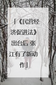 《民营经济促进法》出台后 张江有了新动作