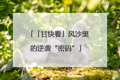 「甘快看」风沙里的逆袭“密码”