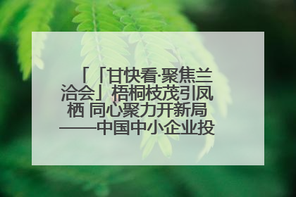 「甘快看·聚焦兰洽会」梧桐枝茂引凤栖 同心聚力开新局——中国中小企业投资洽谈会侧记