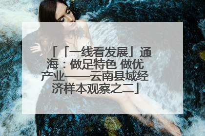 「一线看发展」通海：做足特色 做优产业——云南县域经济样本观察之二