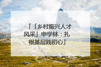 「乡村振兴人才风采」申学林：扎根基层践初心