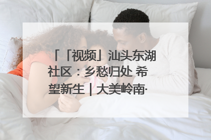 「视频」汕头东湖社区：乡愁归处 希望新生｜大美岭南·百村焕新记
