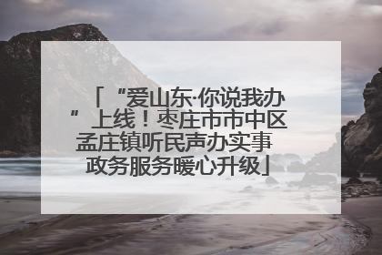 “爱山东·你说我办”上线！枣庄市市中区孟庄镇听民声办实事 政务服务暖心升级