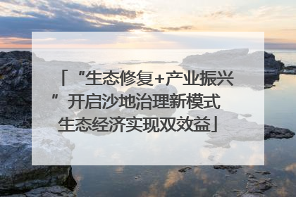 “生态修复+产业振兴”开启沙地治理新模式 生态经济实现双效益