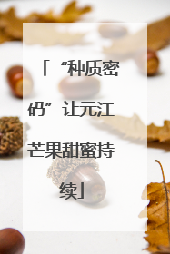 “种质密码”让元江芒果甜蜜持续