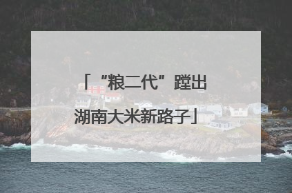 “粮二代”蹚出湖南大米新路子