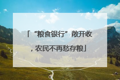 “粮食银行”敞开收，农民不再愁存粮