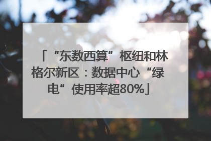 “东数西算”枢纽和林格尔新区：数据中心“绿电”使用率超80%