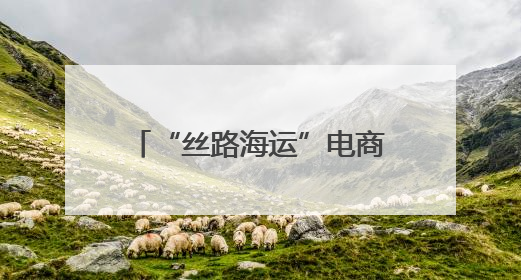 “丝路海运”电商快线集装箱吞吐量突破10万标箱