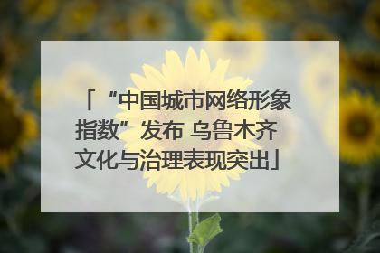 “中国城市网络形象指数”发布 乌鲁木齐文化与治理表现突出