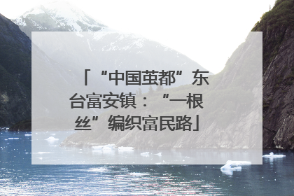 “中国茧都”东台富安镇：“一根丝”编织富民路