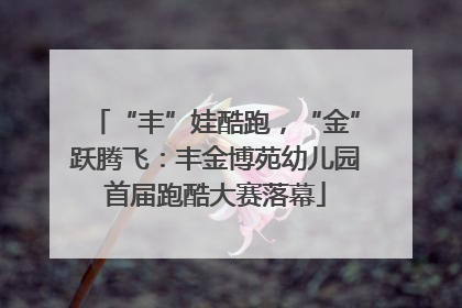 “丰”娃酷跑，“金”跃腾飞：丰金博苑幼儿园首届跑酷大赛落幕