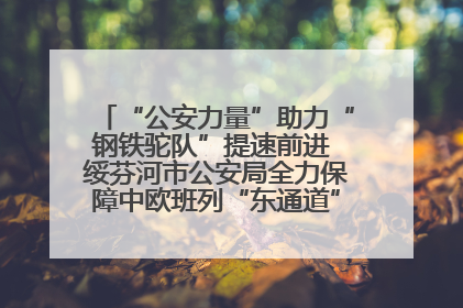 “公安力量”助力“钢铁驼队”提速前进 绥芬河市公安局全力保障中欧班列“东通道”绥芬河隧道贯通