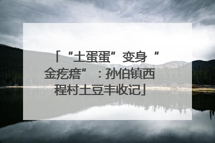 “土蛋蛋”变身“金疙瘩”：孙伯镇西程村土豆丰收记