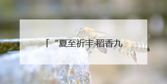 “夏至祈丰·稻香九洲”插秧体验活动在南昌九洲公园举行