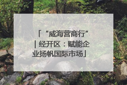 “威海营商行”｜经开区：赋能企业扬帆国际市场