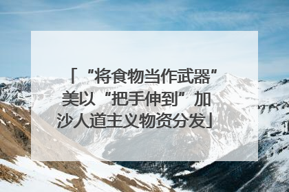 “将食物当作武器” 美以“把手伸到”加沙人道主义物资分发