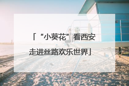 “小葵花”看西安走进丝路欢乐世界