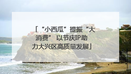 “小西瓜”提振“大消费” 以节庆IP助力大兴区高质量发展