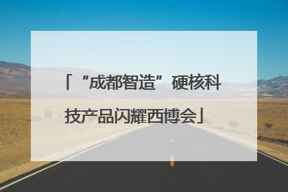 “成都智造”硬核科技产品闪耀西博会