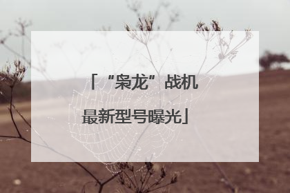 “枭龙”战机最新型号曝光