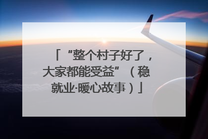 “整个村子好了，大家都能受益”（稳就业·暖心故事）