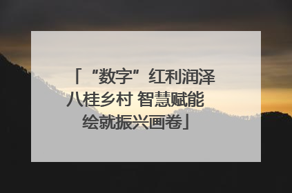 “数字”红利润泽八桂乡村 智慧赋能绘就振兴画卷