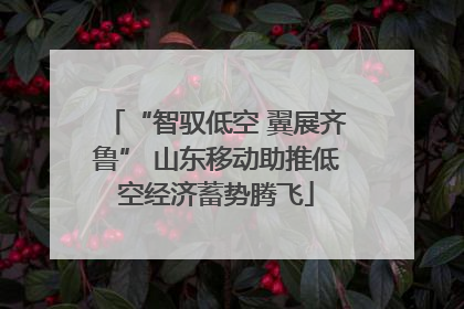 “智驭低空 翼展齐鲁” 山东移动助推低空经济蓄势腾飞