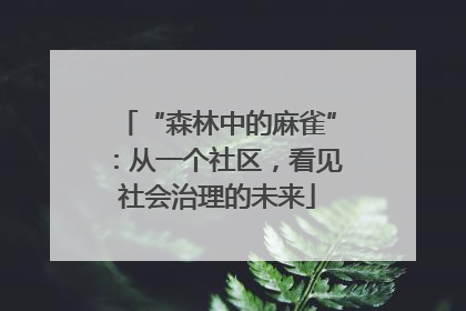 “森林中的麻雀”：从一个社区，看见社会治理的未来