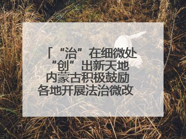 “治”在细微处 “创”出新天地 内蒙古积极鼓励各地开展法治微改革 小创新
