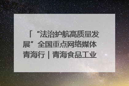 “法治护航高质量发展”全国重点网络媒体青海行｜青海食品工业协会：架起“青字号”美食的产业化桥梁