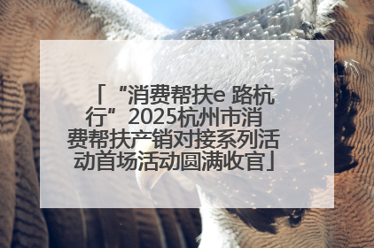 “消费帮扶e 路杭行”2025杭州市消费帮扶产销对接系列活动首场活动圆满收官