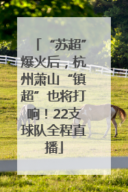 “苏超”爆火后，杭州萧山“镇超”也将打响！22支球队全程直播