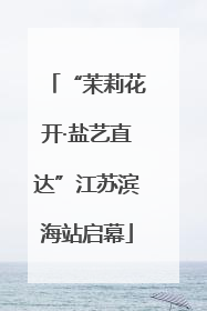 “茉莉花开·盐艺直达”江苏滨海站启幕