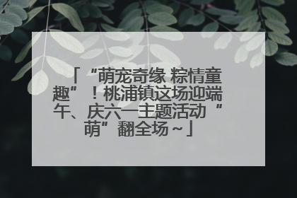 “萌宠奇缘 粽情童趣”！桃浦镇这场迎端午、庆六一主题活动“萌”翻全场～