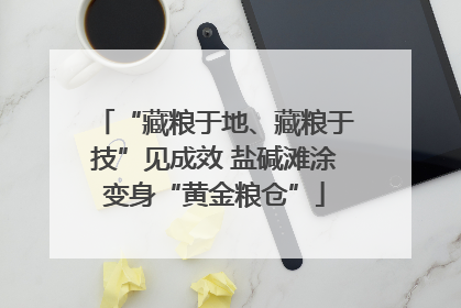 “藏粮于地、藏粮于技”见成效 盐碱滩涂变身“黄金粮仓”