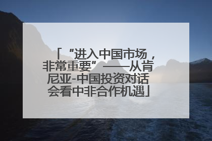 “进入中国市场，非常重要”——从肯尼亚-中国投资对话会看中非合作机遇