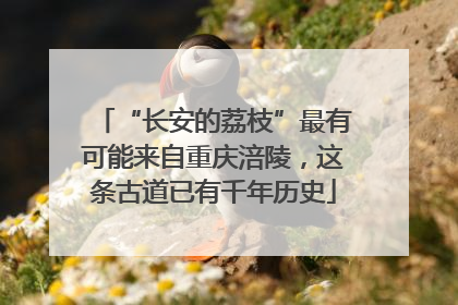 “长安的荔枝”最有可能来自重庆涪陵，这条古道已有千年历史