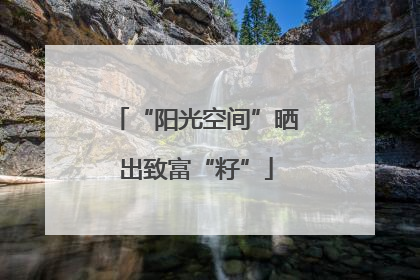 “阳光空间”晒出致富“籽”