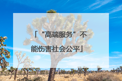 “高端服务”不能伤害社会公平
