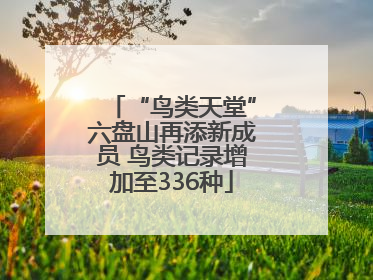 “鸟类天堂”六盘山再添新成员 鸟类记录增加至336种