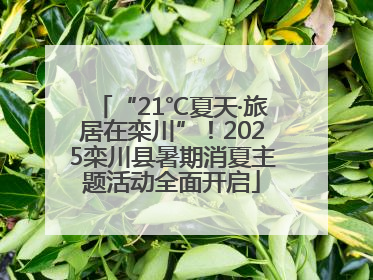 “21℃夏天·旅居在栾川”！2025栾川县暑期消夏主题活动全面开启
