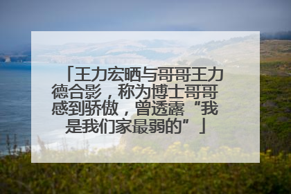 王力宏晒与哥哥王力德合影，称为博士哥哥感到骄傲，曾透露“我是我们家最弱的”