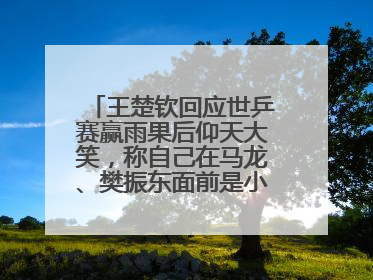王楚钦回应世乒赛赢雨果后仰天大笑，称自己在马龙、樊振东面前是小孩，巴黎奥运被孙颖莎带着打
