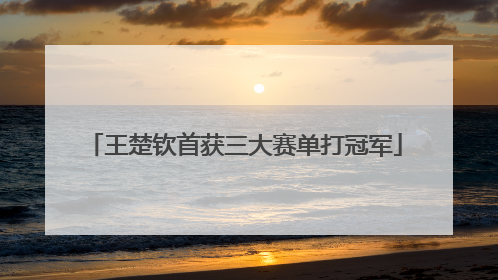 王楚钦首获三大赛单打冠军