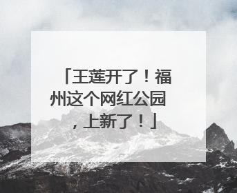王莲开了！福州这个网红公园，上新了！