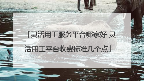 灵活用工服务平台哪家好 灵活用工平台收费标准几个点