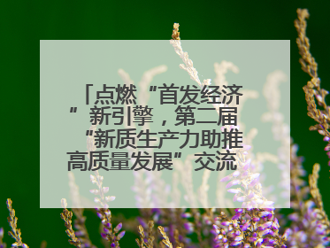 点燃“首发经济”新引擎，第二届“新质生产力助推高质量发展”交流会在成都举行