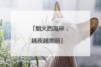 烟火西海岸，越夜越美丽