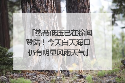 热带低压已在徐闻登陆！今天白天海口仍有明显风雨天气